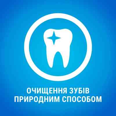 Лакомство для собак Purina DentaLife Medium Для поддержания здоровья полости рта 115 г (7613035379794) Винница