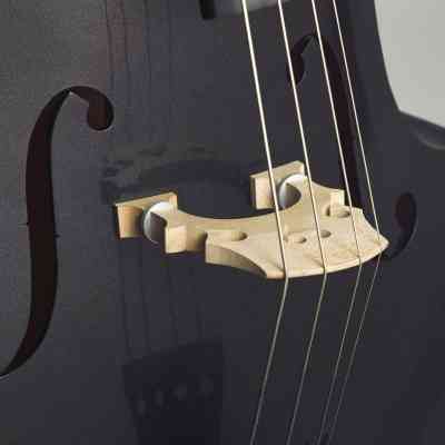 Контрабас Stentor Harlequin Rockabilly Double Bass 3/4 Black (1950LCBK) Винница