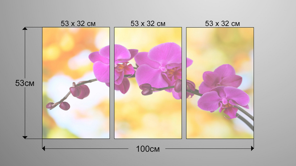 Модульна картина Квіти Орхідея Аrt-136_3А Київ - фото 3