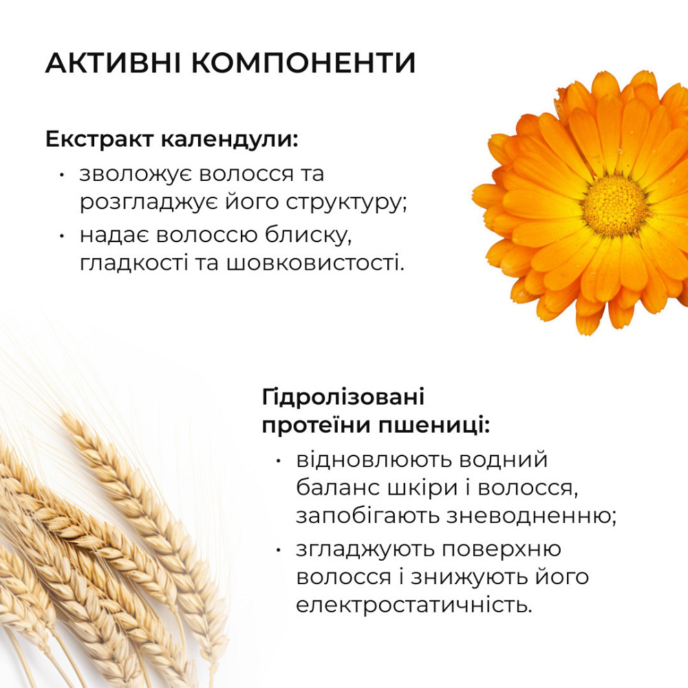 Сироватка для волосся Concentrate Serenoa + Шампунь для всіх типів волосся Nori Micellar та гребінь Київ - фото 10