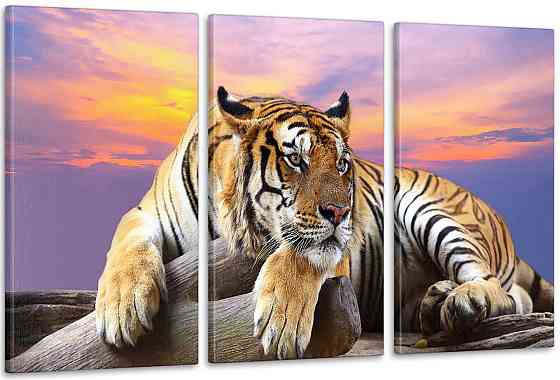 Модульна картина Тигр Аrt-209_3А Київ