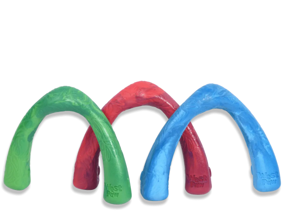 West Paw Seaflex Snorkl (Вест Пав Сноркл) игрушка для собак бумеранг Голубой Запорожье