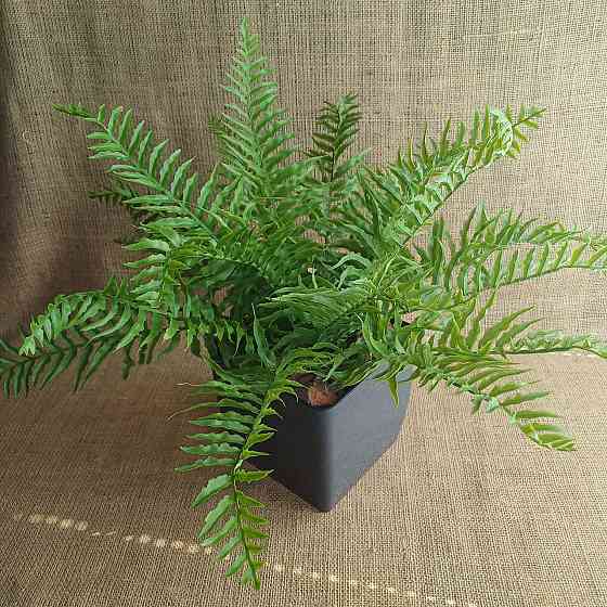 Штучний кущ папороті з латексу Дніпро