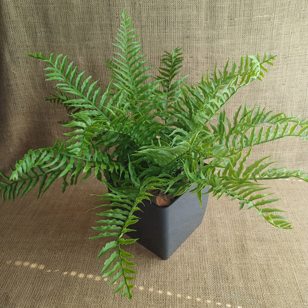 Штучний кущ папороті з латексу Дніпро - фото 1