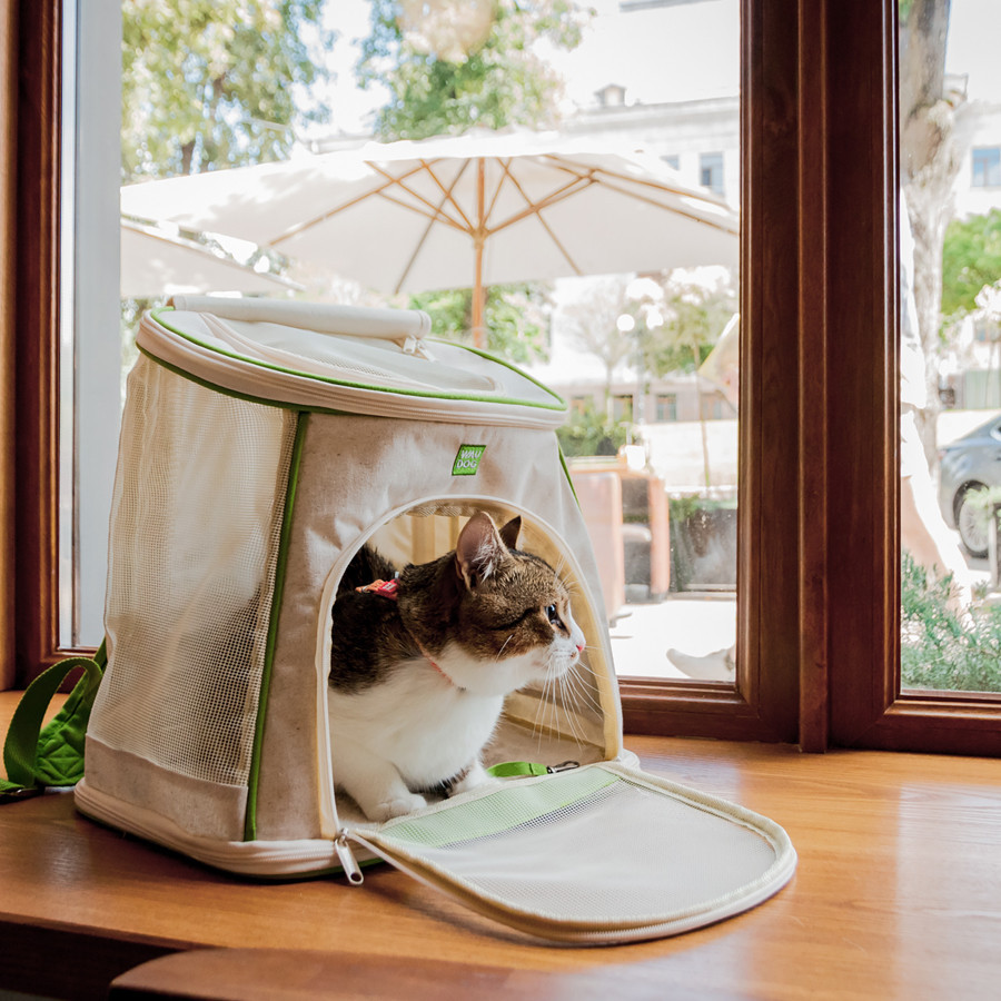 Рюкзак-переноска для котов и собак WAUDOG Relax Eco, 40*40*26 см, до 8 кг Киев - изображение 1