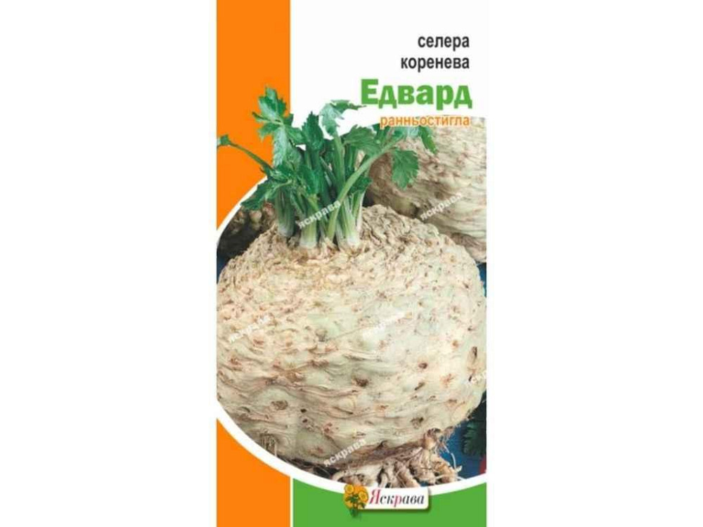Сельдерей корневой Эдвард (20 пачек) 0.2г ТМ ЯСКРАВА Киев - изображение 1