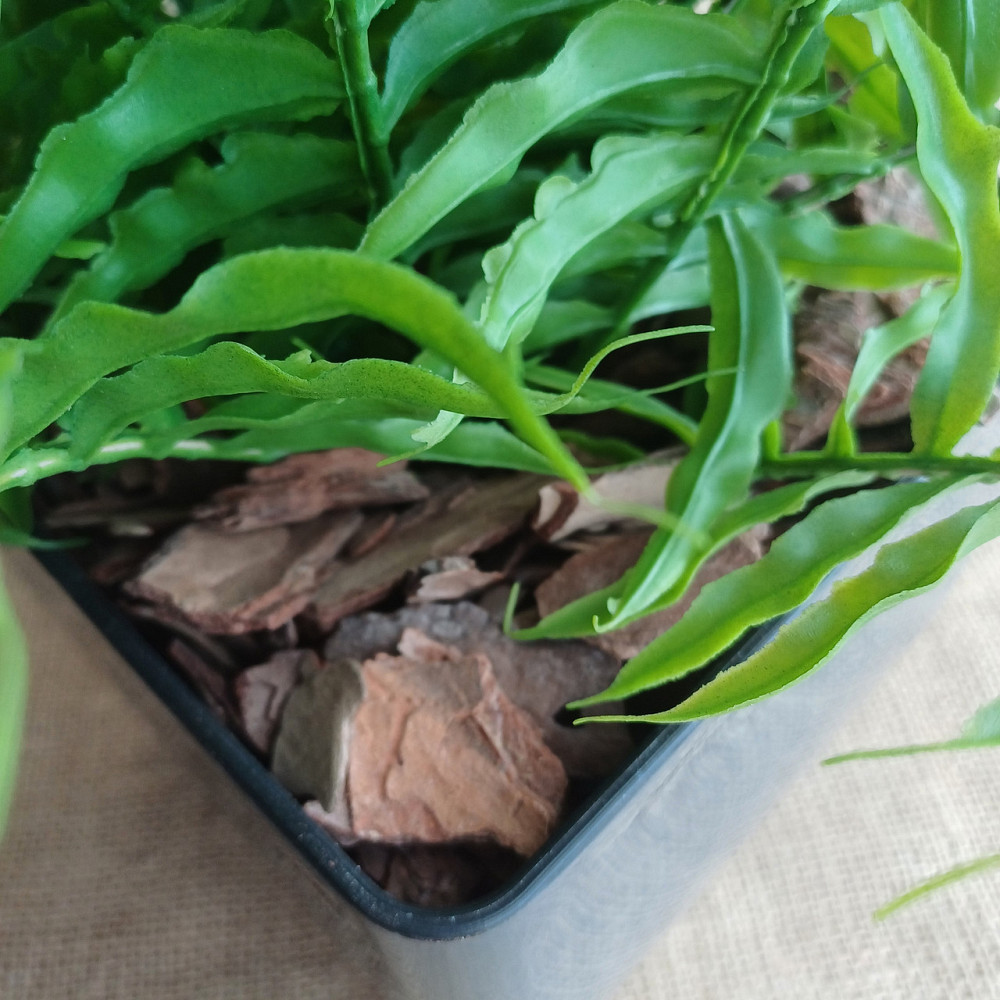 Штучний кущ папороті з латексу Дніпро - фото 4