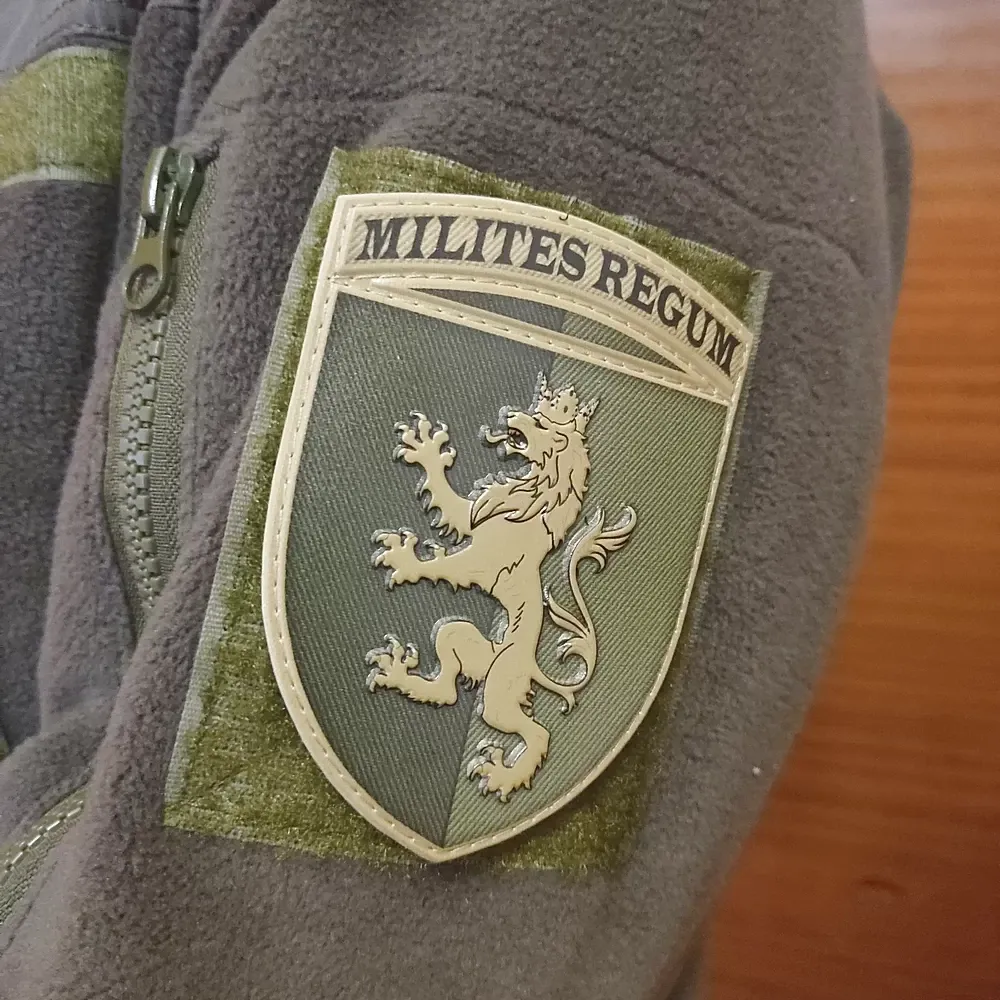 Патч / шеврон ЗСУ 24 окрема механізована бригада імені короля Данила Запоріжжя - фото 3