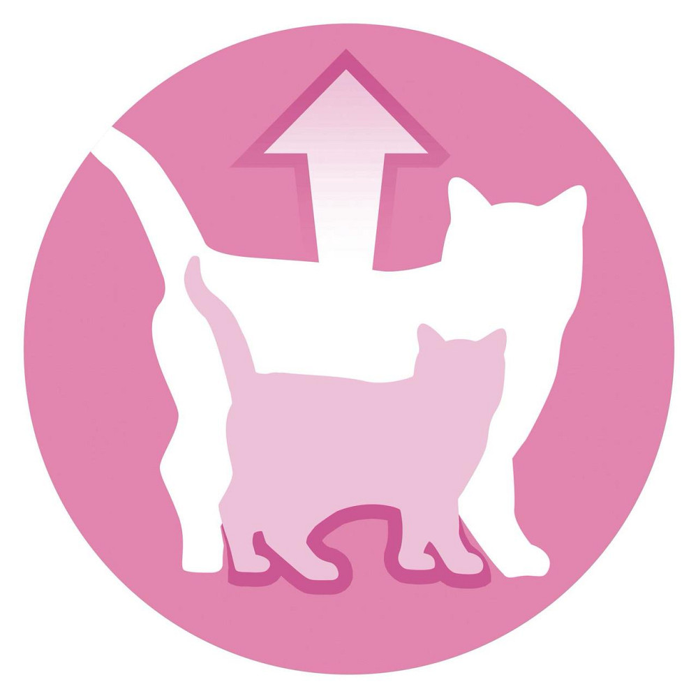 Вологий корм PURINA ONE Junior для кошенят, шматочки в соусі, з лососем та морквою, 85 г Київ - фото 4