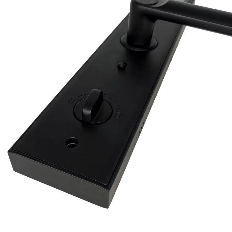 Умный дверной замок с камерой,кодовым замком Wi-Fi с отпечатком пальца и ключ-картой,алюминиевый сплав Каменец-Подольский - изображение 3