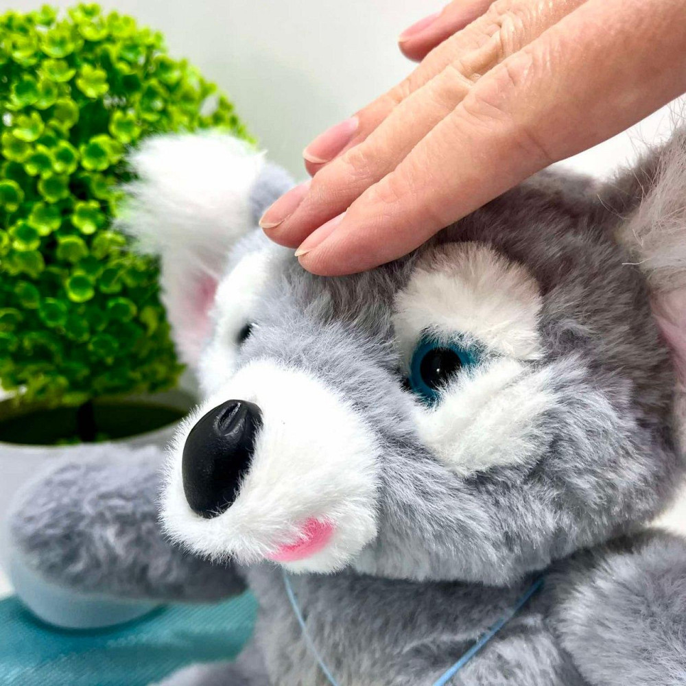 Коала інтерактивна м'яка іграшка пляшечка в комплекті моргає сенсорний та магнітний датчик звук 24см Сірий (933-216 E) Чернигов - изображение 3