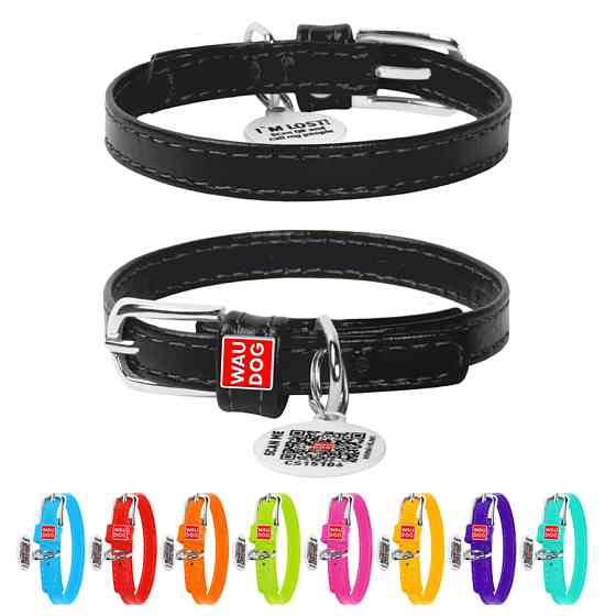 Нашийник для собак шкіряний WAUDOG Glamour з QR паспортом, без прикрас, XXS, Ш 9 мм, Дов 18-21 Коломия