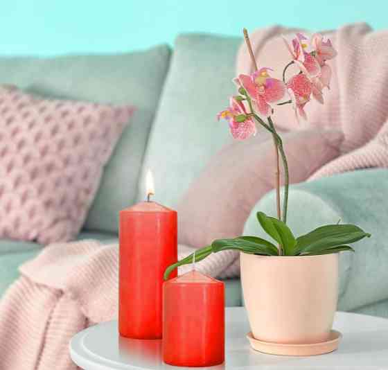 Набір свічок 4 шт. циліндр Bispol AURA Candles Червоні (sw50/4-030) Луцьк