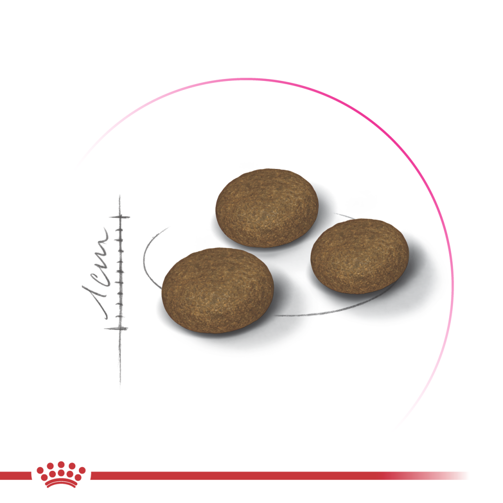 Корм для котів ROYAL CANIN EXIGENT FUSSY 2 кг, з вибагливим апетитом Київ - фото 2