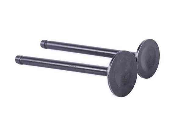 Клапани на мопед мотоцикл Альфа125СС, к-т: 2 шт. Мукачево