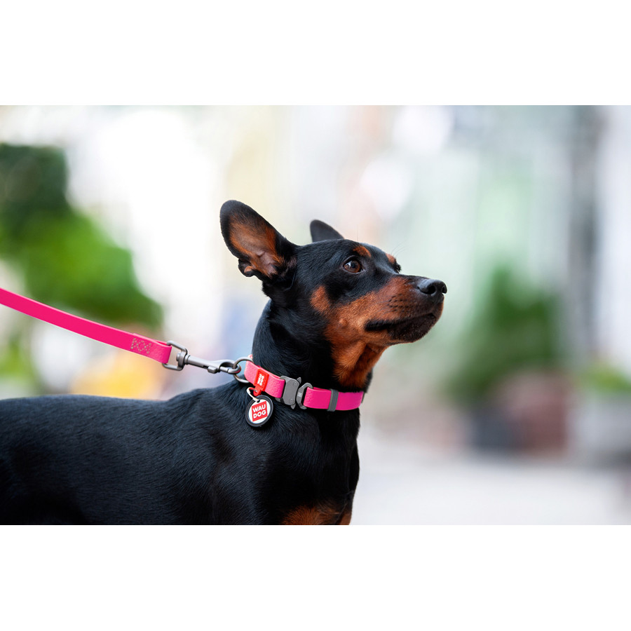 Нашийник для собак водостійкий WAUDOG Waterproof c QR паспортом, металічна пряжка-фастекс, Ш 25 Коломыя - изображение 3