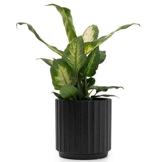 elemi Кашпо для квітів керамічне elemi "Грань" (чорний) 13.5" круглий 1,4 л Коломыя