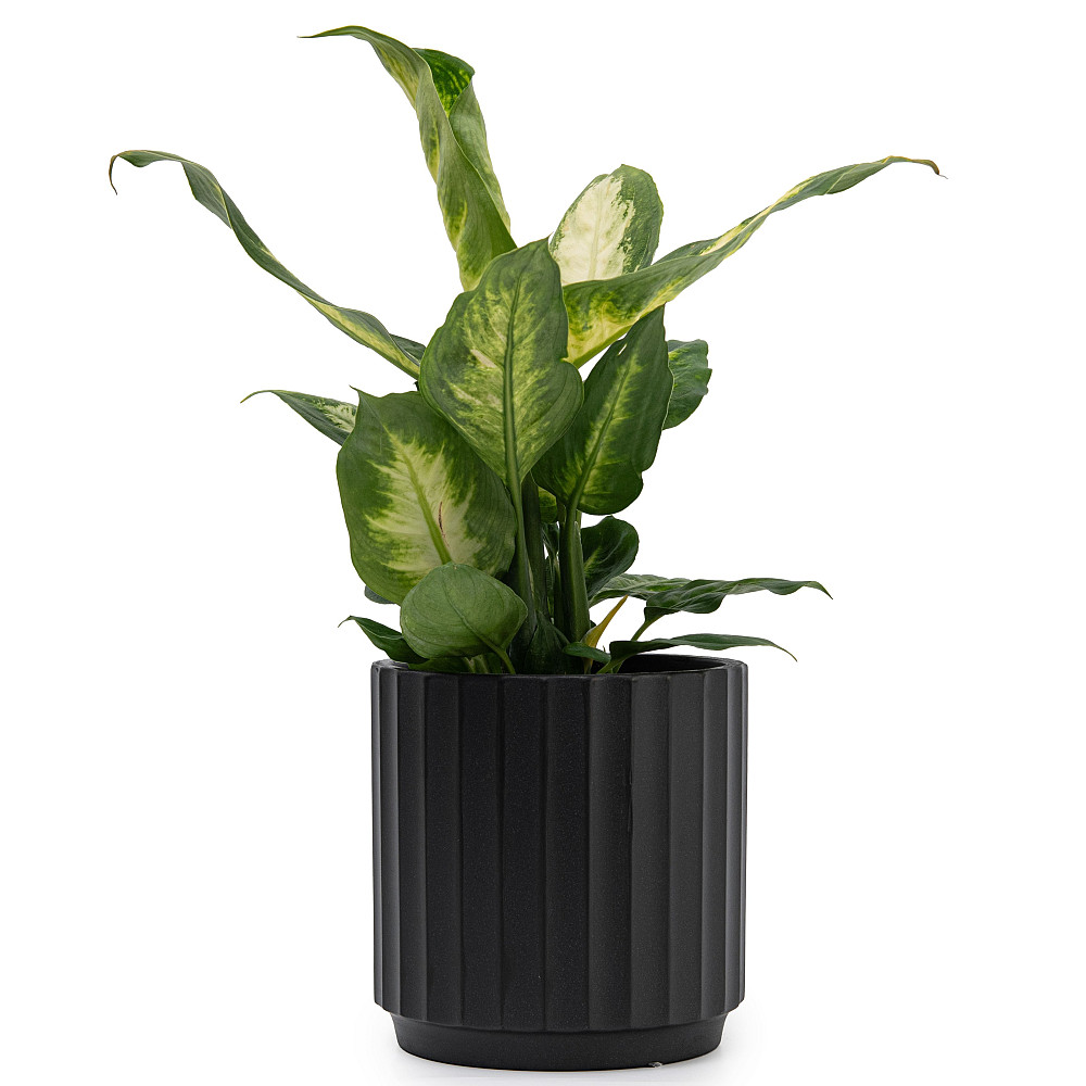 elemi Кашпо для квітів керамічне elemi "Грань" (чорний) 13.5" круглий 1,4 л Коломыя - изображение 3