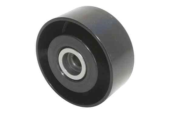 Ролик генератора паразитный 60mm Peugeot 1,9D (DW8) (575147) GP EG575147 Киев