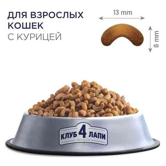 Club 4 Paws (Полуб 4 Лапи) Premium Adult Cat Chicken сухий корм із куркою для дорослих котів 14 кг Запоріжжя