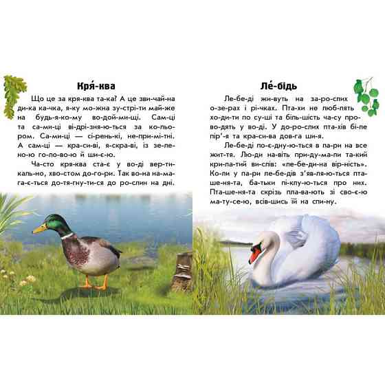 Читаю про Украину по слогам 