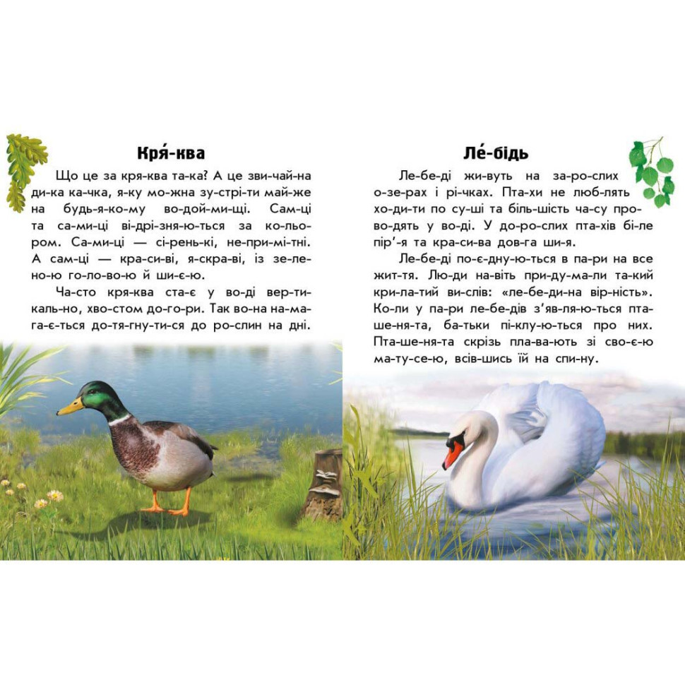 Читаю про Украину по слогам 