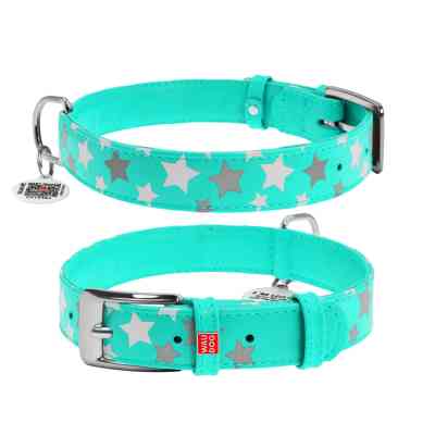 Ошейник для животных WAUDOG Glamour с QR паспортом "Звездочка" M Ш 25 мм Д 38-49 см ментоловый (358713) Винница