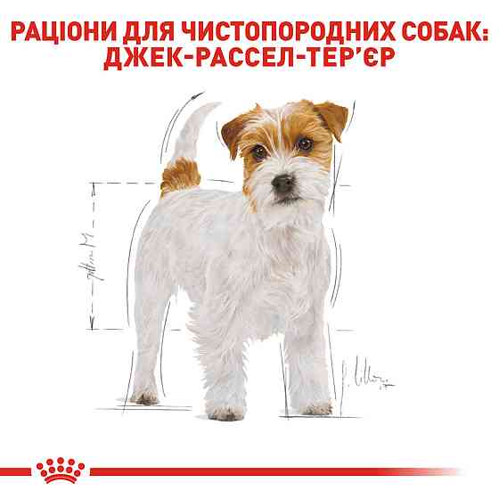 Корм для взрослых собак ROYAL CANIN JACK RUSSEL ADULT 7.5 кг Киев