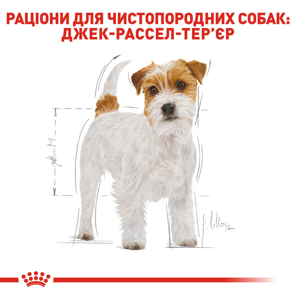 Корм для взрослых собак ROYAL CANIN JACK RUSSEL ADULT 7.5 кг Киев - изображение 3