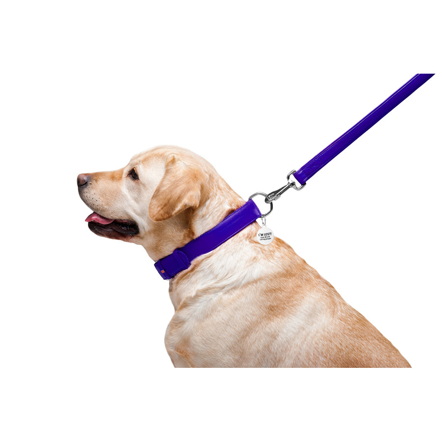 Повідець для собак шкіряний WAUDOG Glamour, Ш 25 мм, Дов 122 см фіолетовий Коломия - фото 6