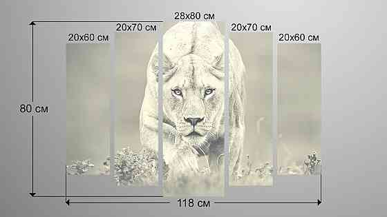 Модульная картина Природа Тигр Art-194_5 Киев