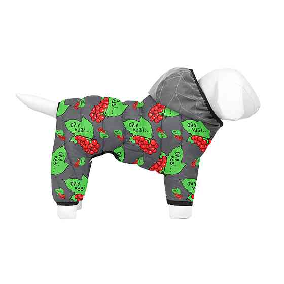 Комбінезон для собак WAUDOG Clothes малюнок "Леопард", M45, В 57-60 см, С 41-44 см Київ