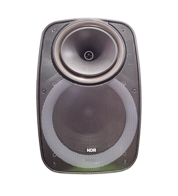 Профессиональная Bluetooth колонкa NDR-A55 15-дюймовая с беспроводным микрофоном Винница - изображение 6