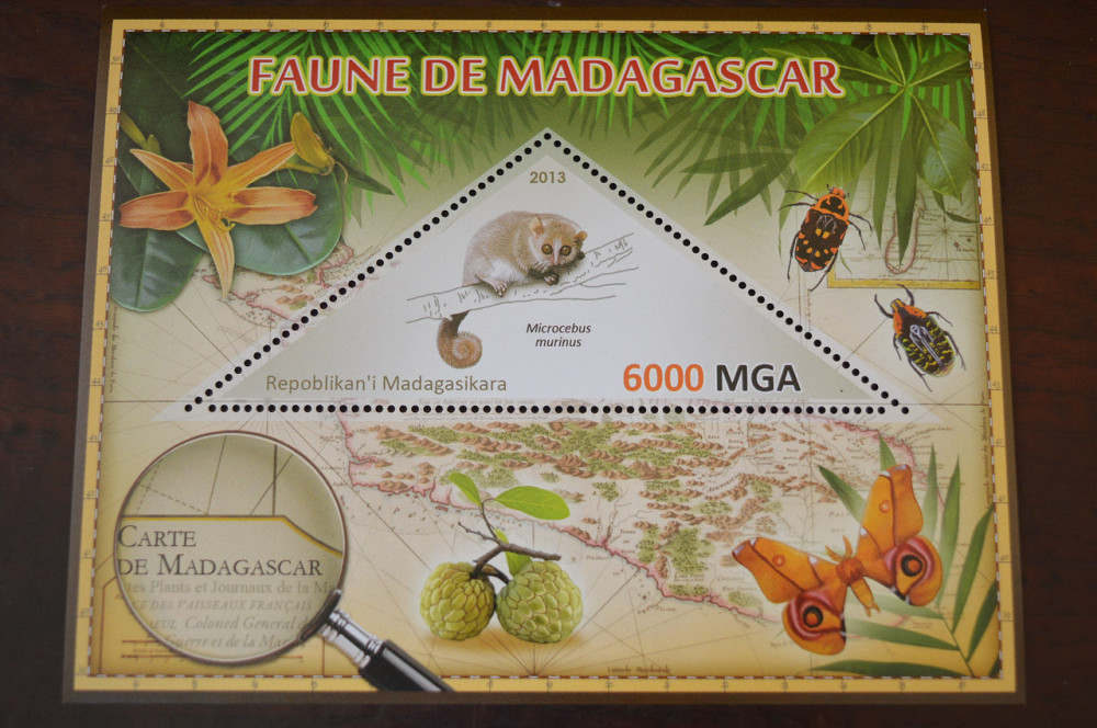 Мадагаскар. Фауна. Личности. Блок. 2014 р. (А-34) Полтава - фото 1