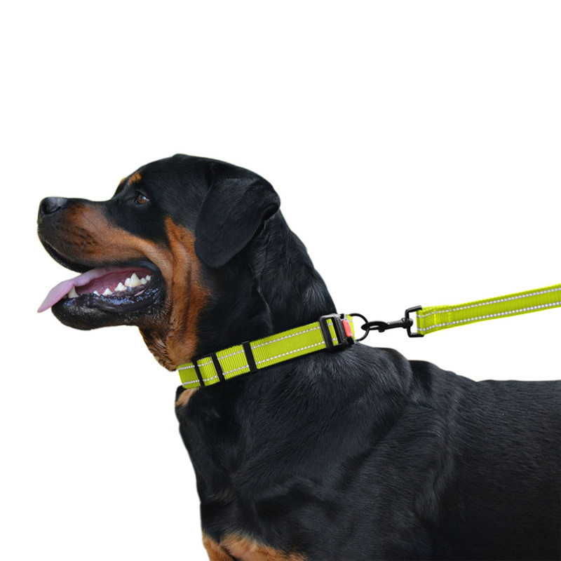 Нашийник для собак нейлоновий світловідбивний BronzeDog Active з пластиковою пряжею (фастекс) салатовий M Одеса - фото 3