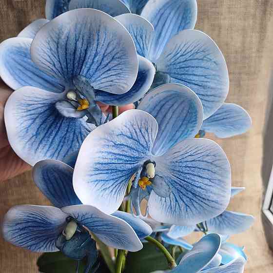 Штучна латексна орхідея VIP у білому керамічному кашпо на дві гілки блакитна Дніпро