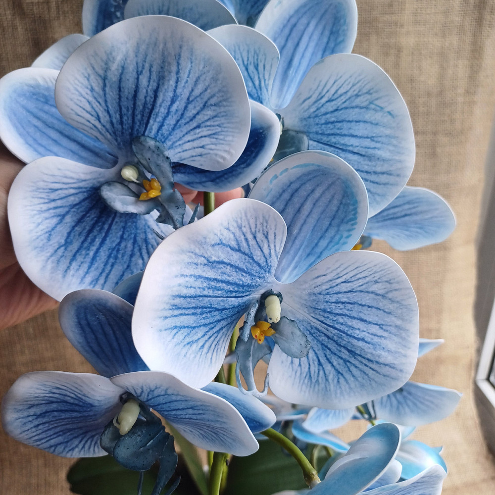 Штучна латексна орхідея VIP у білому керамічному кашпо на дві гілки блакитна Дніпро - фото 2