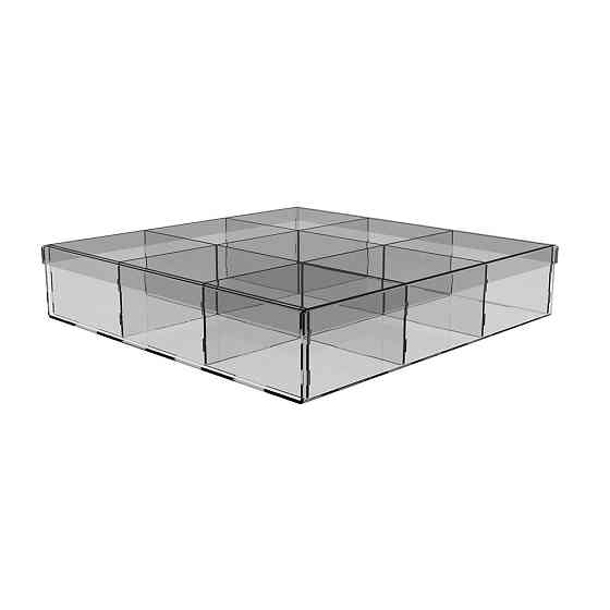 Коробка EKOSTAR на 9 комірок 248х248х51 з кришкою Київ