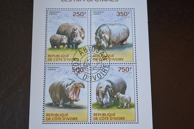 Кот-д'Івуар. История. Фауна. Блок. 2004 рік (Б-4) Полтава - фото 1