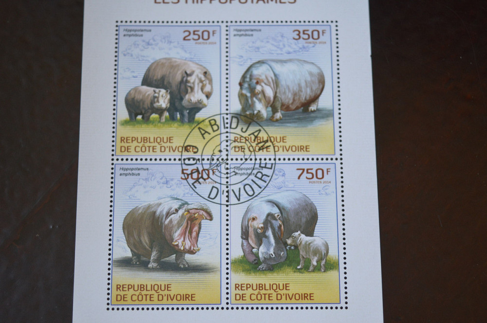 Кот-д'Ивуар. История. Фауна. Блок. 2004 год (Б-4) Полтава - изображение 1
