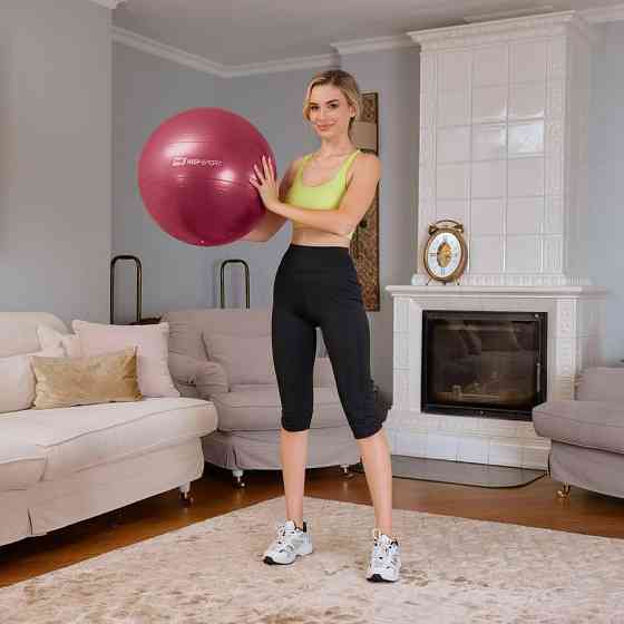 Фитбол Hop-Sport 45см HS-R045YB сливовый + насос Киев