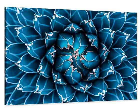 Картина холст в гостиную / спальню  Флю-Арт  MLP_28 60x100 см Киев