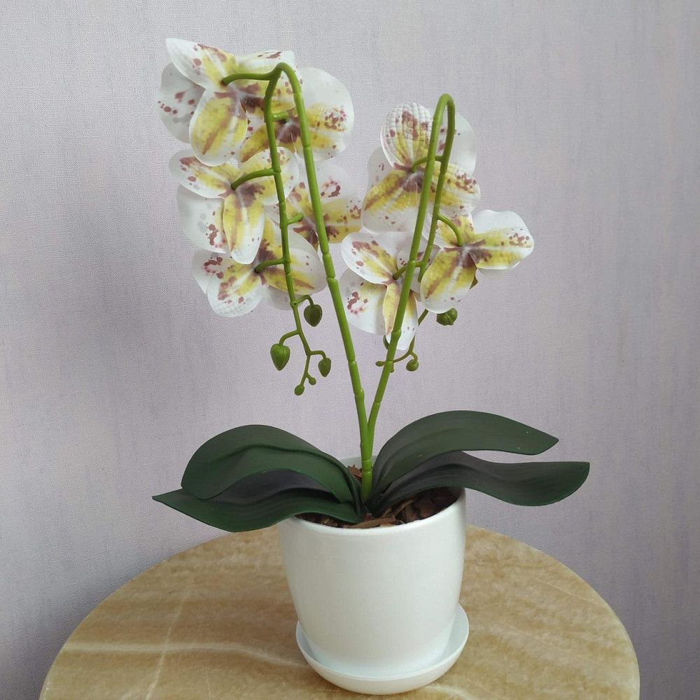 Штучна латексна міні орхідея в білому пластиковому кашпо на дві гілки біла в бордову крапку Дніпро - фото 3