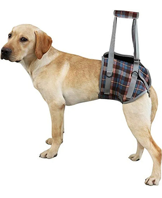 Підтримуючий ремінь для собак зі слабкими задніми лапами XL Луцк - изображение 1