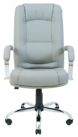 Офісне Крісло Керівника Richman Alberto Fly 2233 Хром М2 AnyFix Сірий Київ