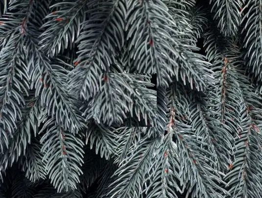 Гірлянда із хвої Преміум 3 м лита (Блакитна) Київ