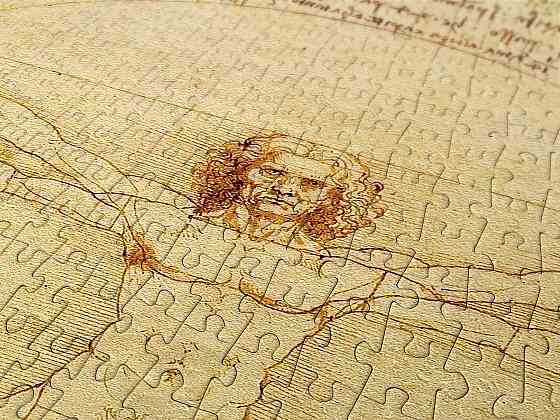 Пазл Вітрувіанська людина - The Vitruvian Man (Enjoy-1557) Киев