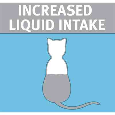 Вологий корм для кішок Purina Pro Plan Hydra Сare для збільшення споживання води та розведення сечі (7613038944593) Вінниця