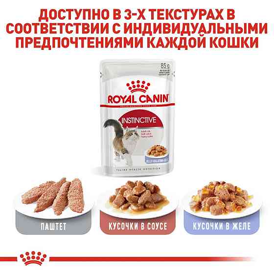 Royal Canin Instinctive Jelly (Роял Канін Інстинктивн желе) вологий корм для кішок від 12 міс. 85 г х 12 шт Запоріжжя