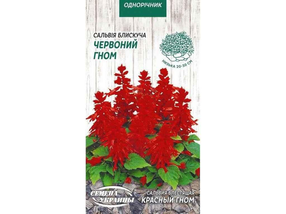 Сальвія блискуча Красный Гном ОД 0,2г (10 пачок) ТМ НАСІННЯ УКРАЇНИ Київ - фото 1